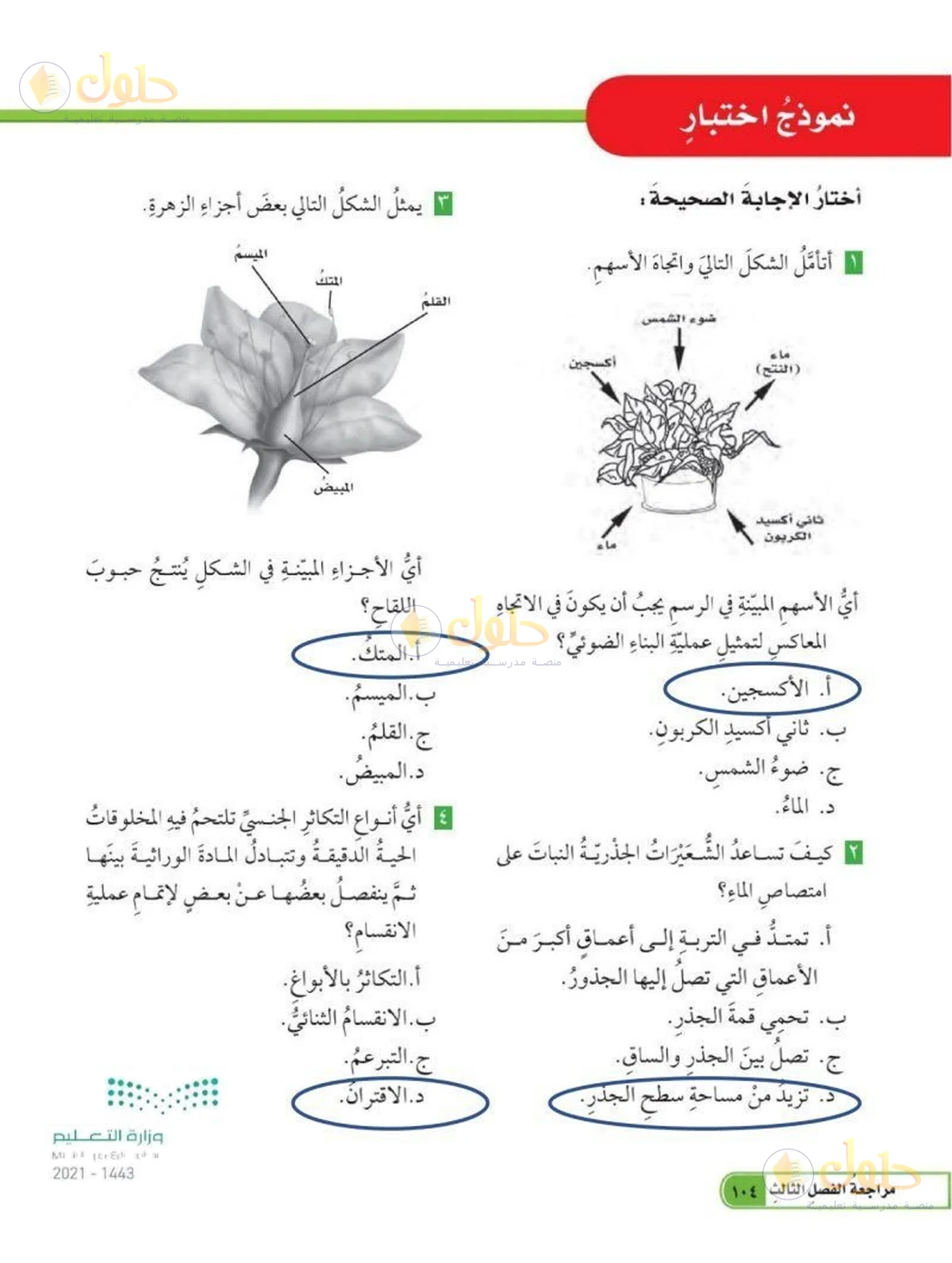 حل العلوم للصف السادس الابتدائي صفحة 104