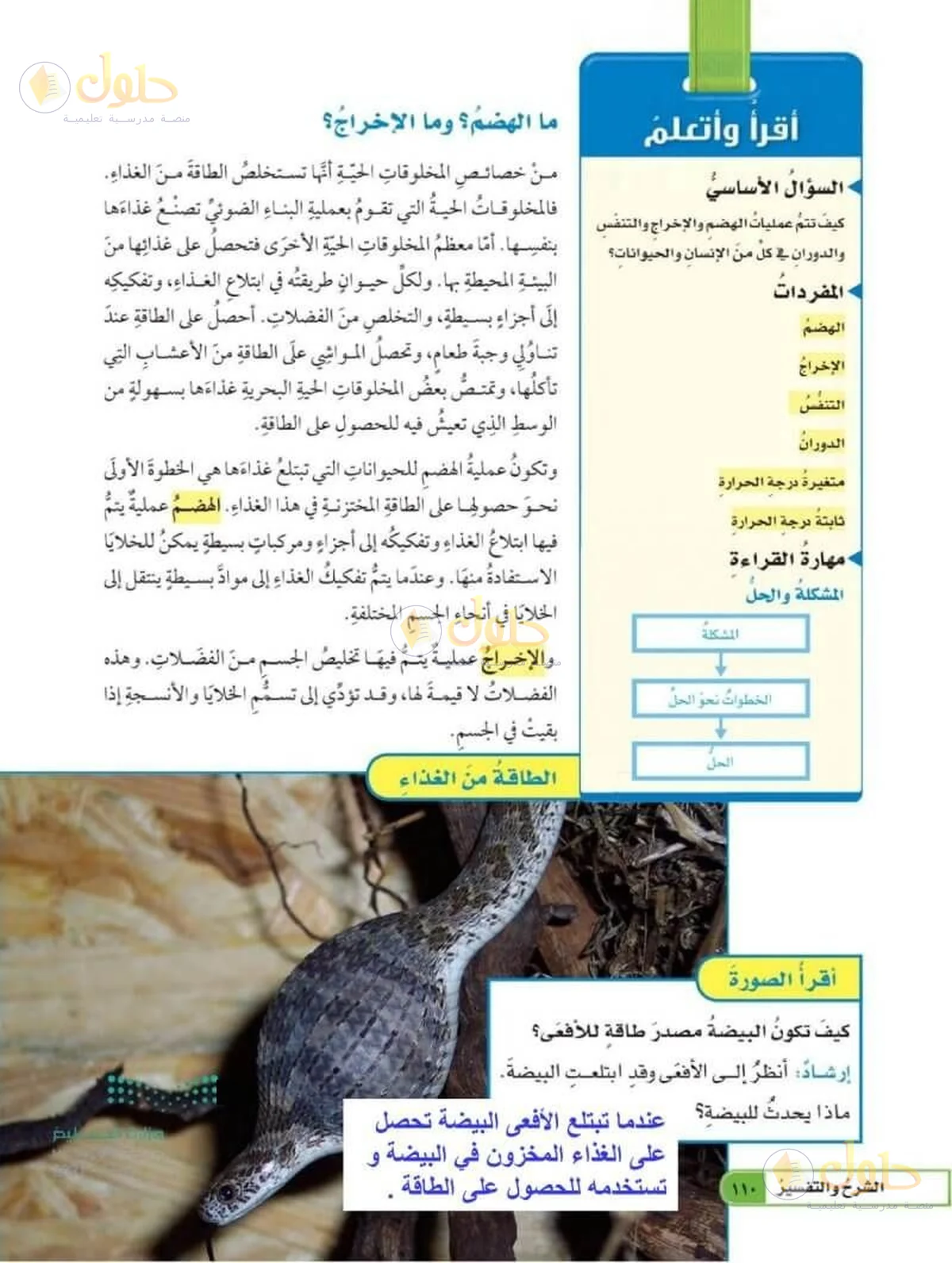 حل العلوم للصف السادس الابتدائي صفحة 110