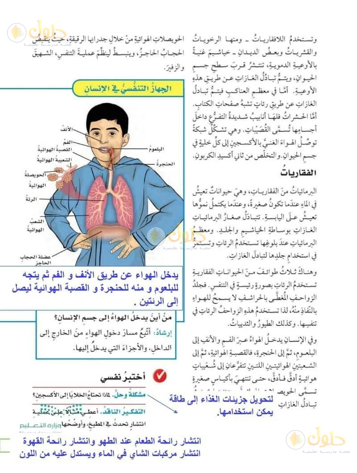 حل العلوم للصف السادس الابتدائي صفحة 113