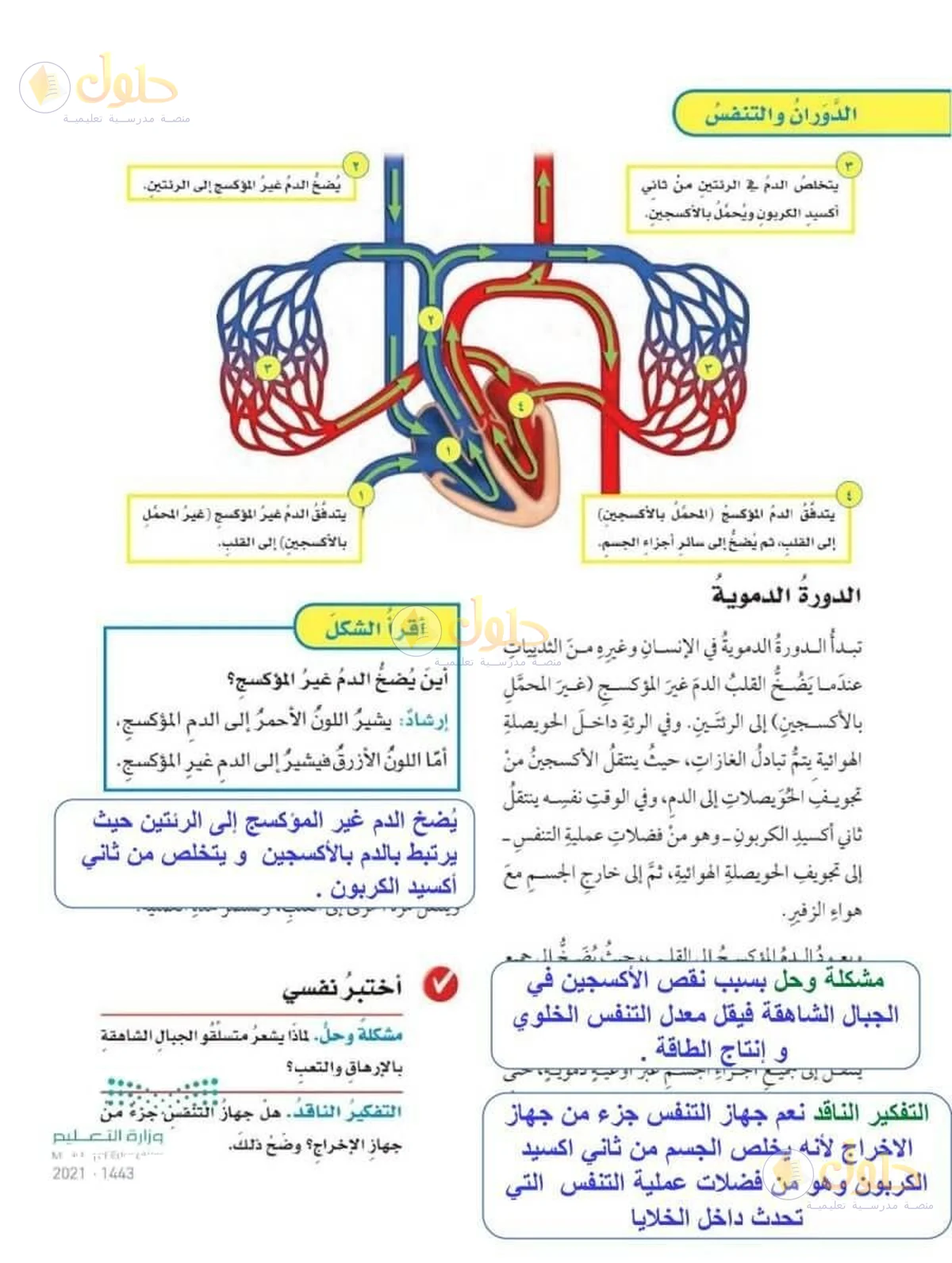 حل العلوم للصف السادس الابتدائي صفحة 116
