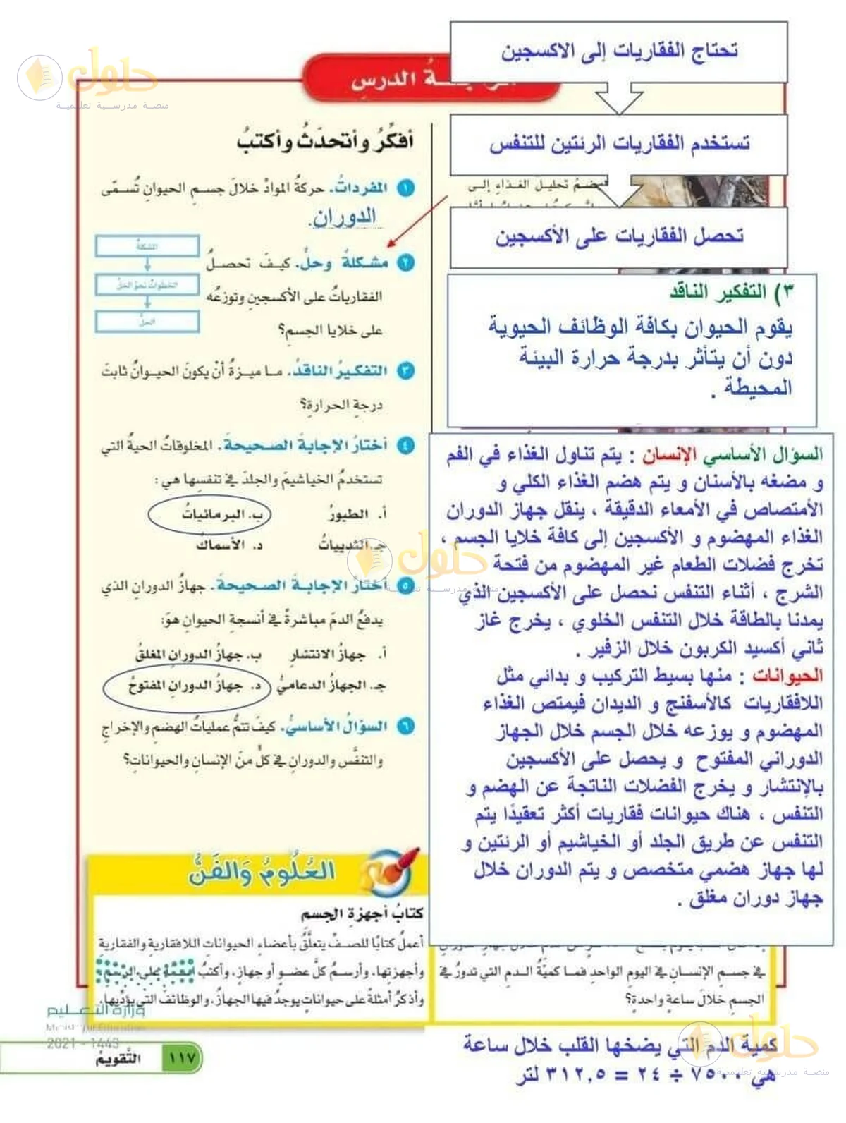 حل العلوم للصف السادس الابتدائي صفحة 117