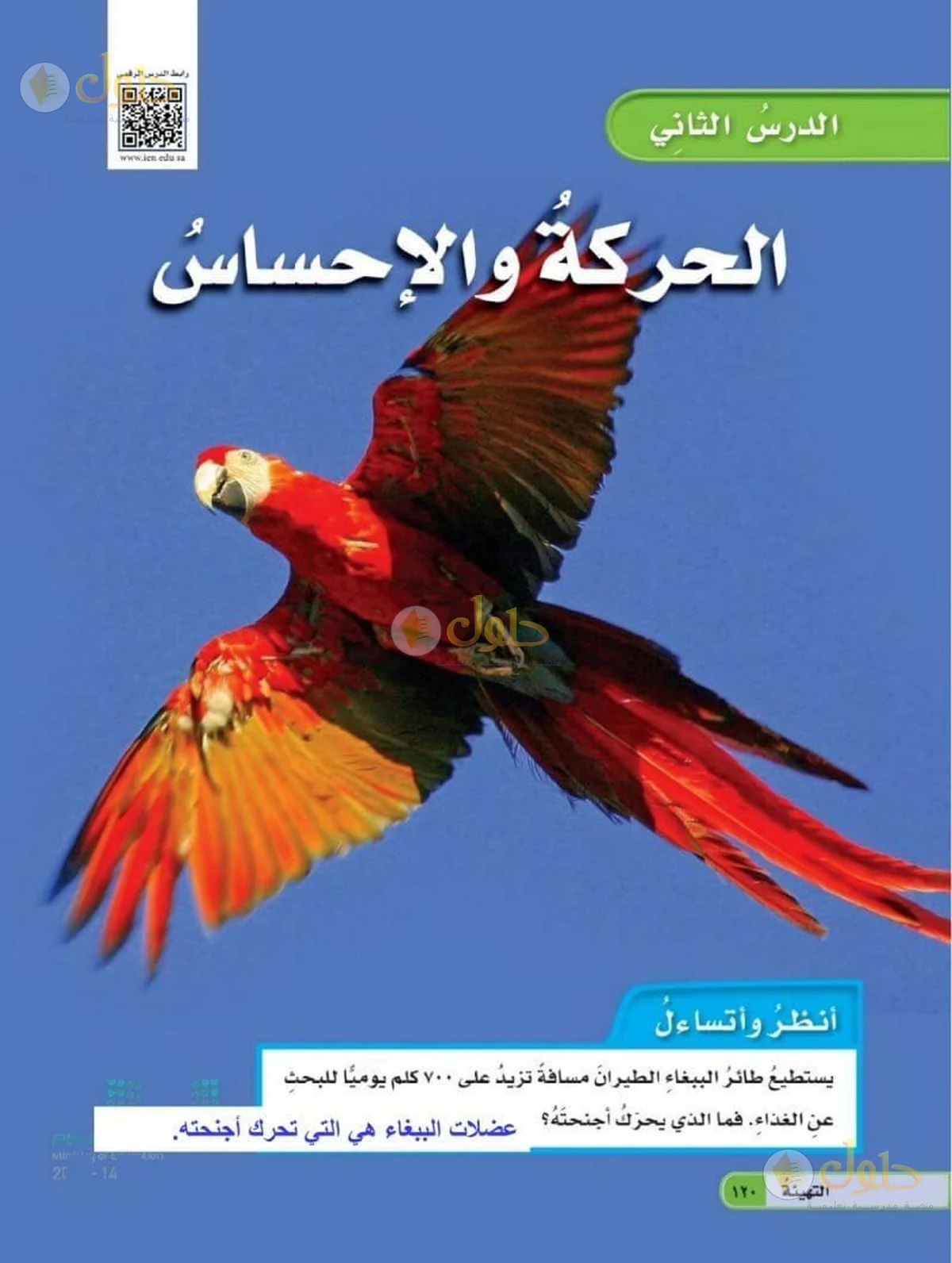 حل العلوم للصف السادس الابتدائي صفحة 120