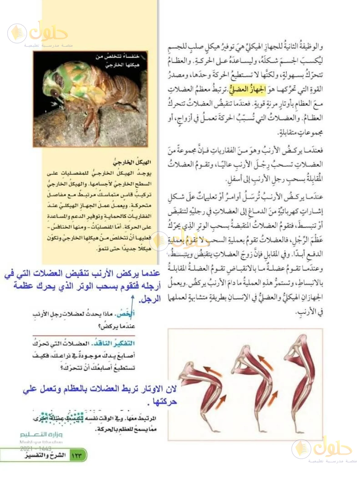 حل العلوم للصف السادس الابتدائي صفحة 123