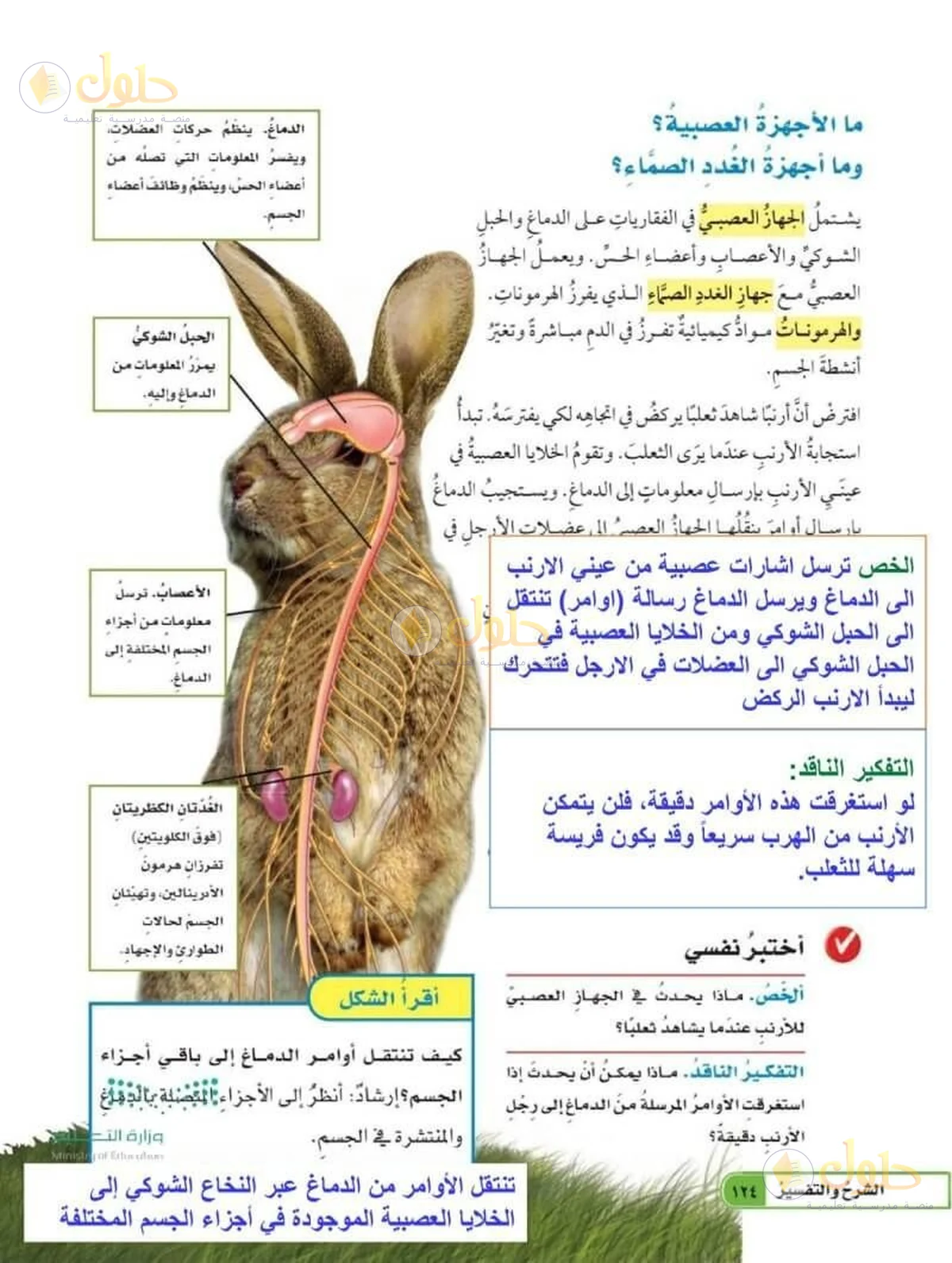 حل العلوم للصف السادس الابتدائي صفحة 124