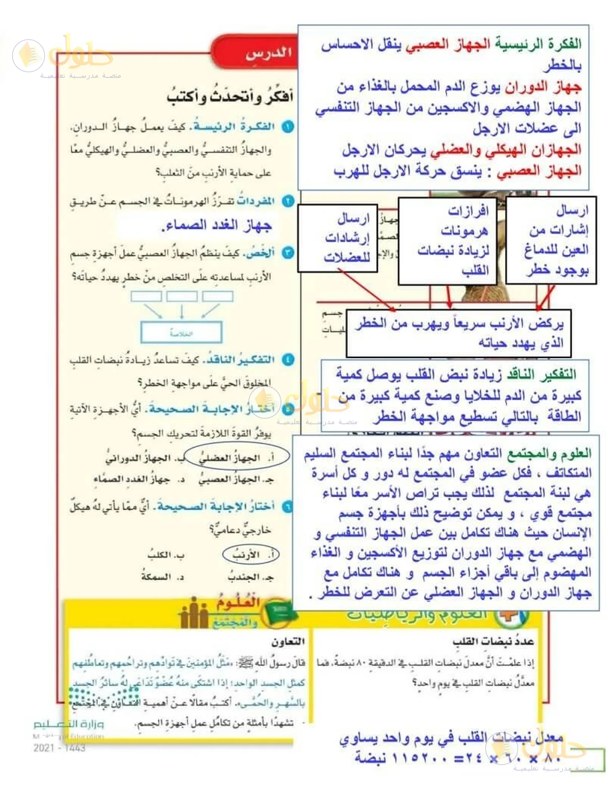 حل العلوم للصف السادس الابتدائي صفحة 126