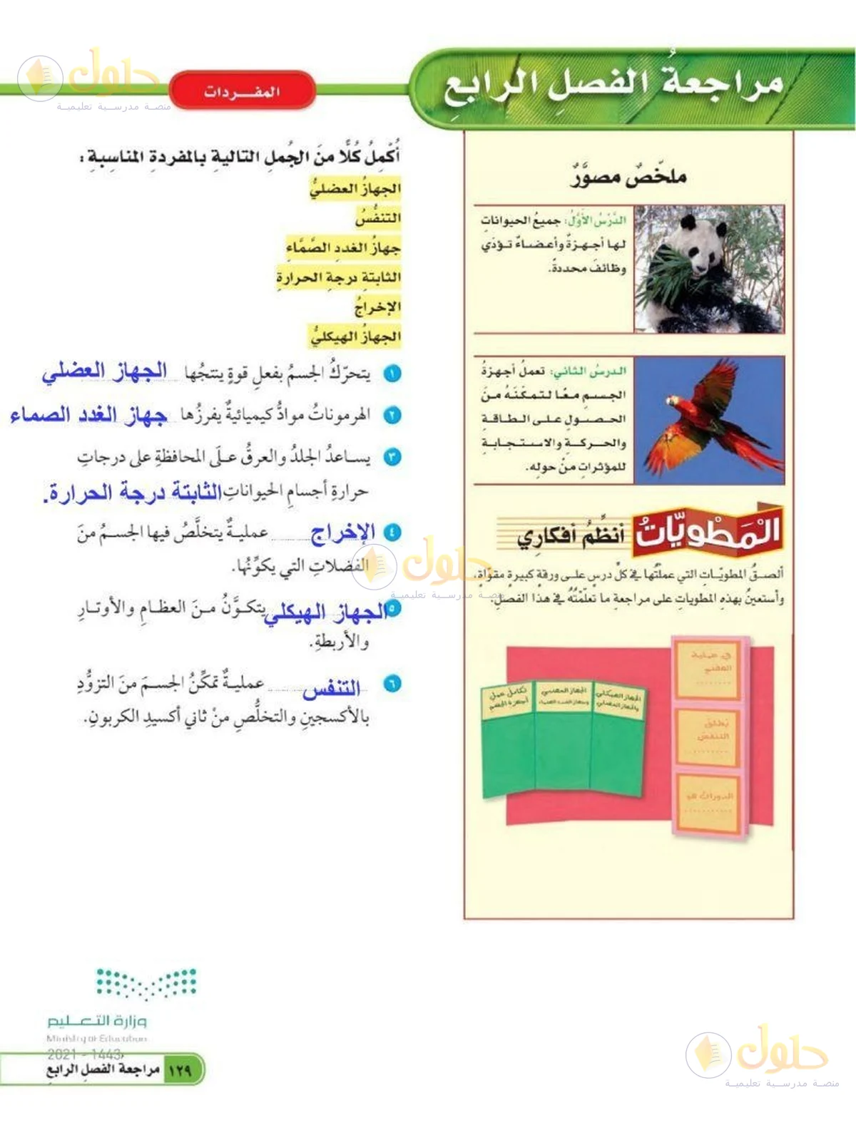 حل العلوم للصف السادس الابتدائي صفحة 129