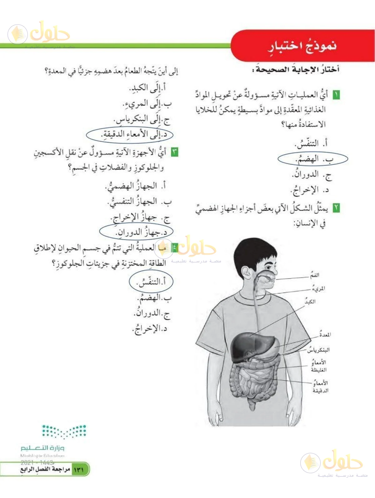 حل العلوم للصف السادس الابتدائي صفحة 131