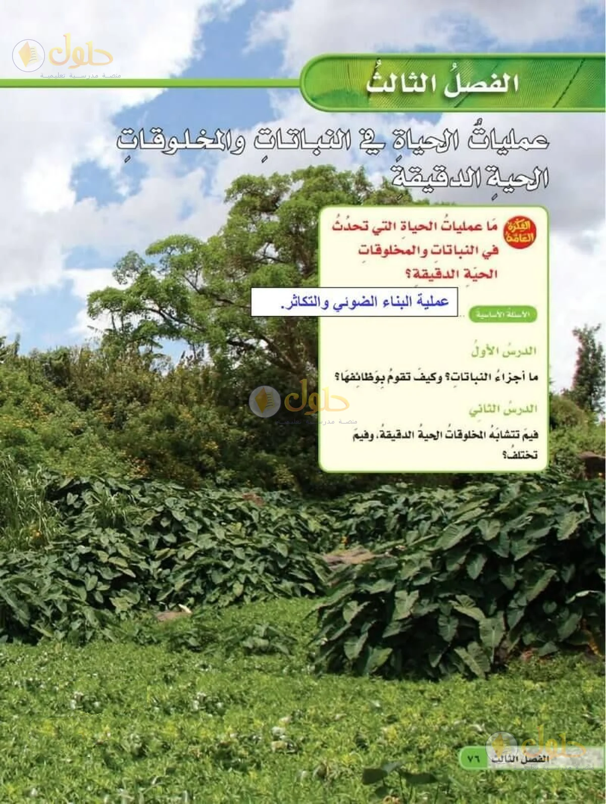حل العلوم للصف السادس الابتدائي صفحة 76