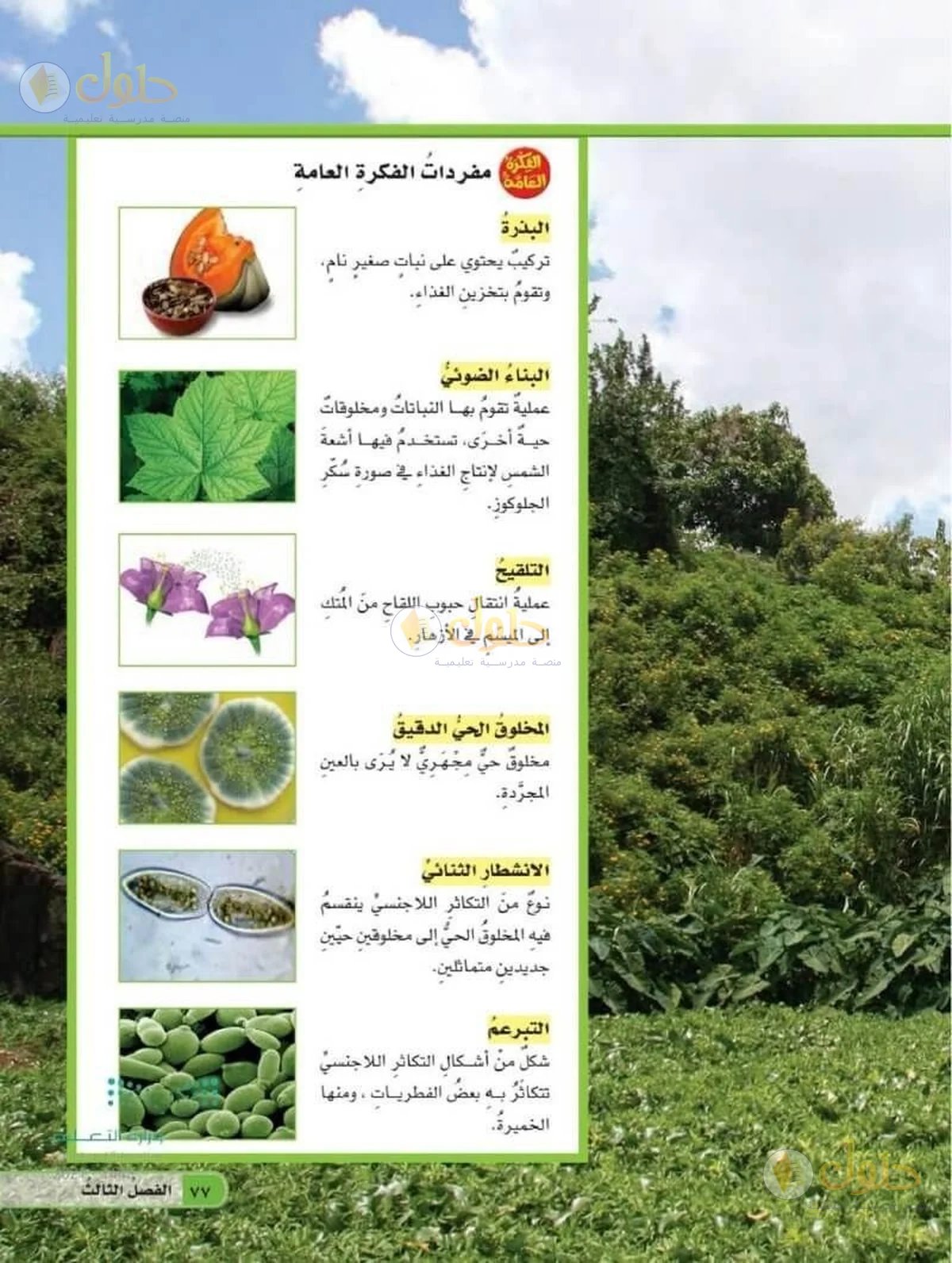 حل العلوم للصف السادس الابتدائي صفحة 77
