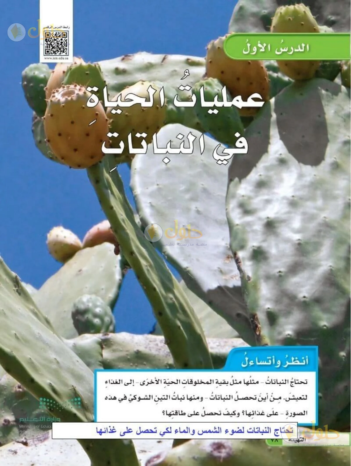 حل العلوم للصف السادس الابتدائي صفحة 78