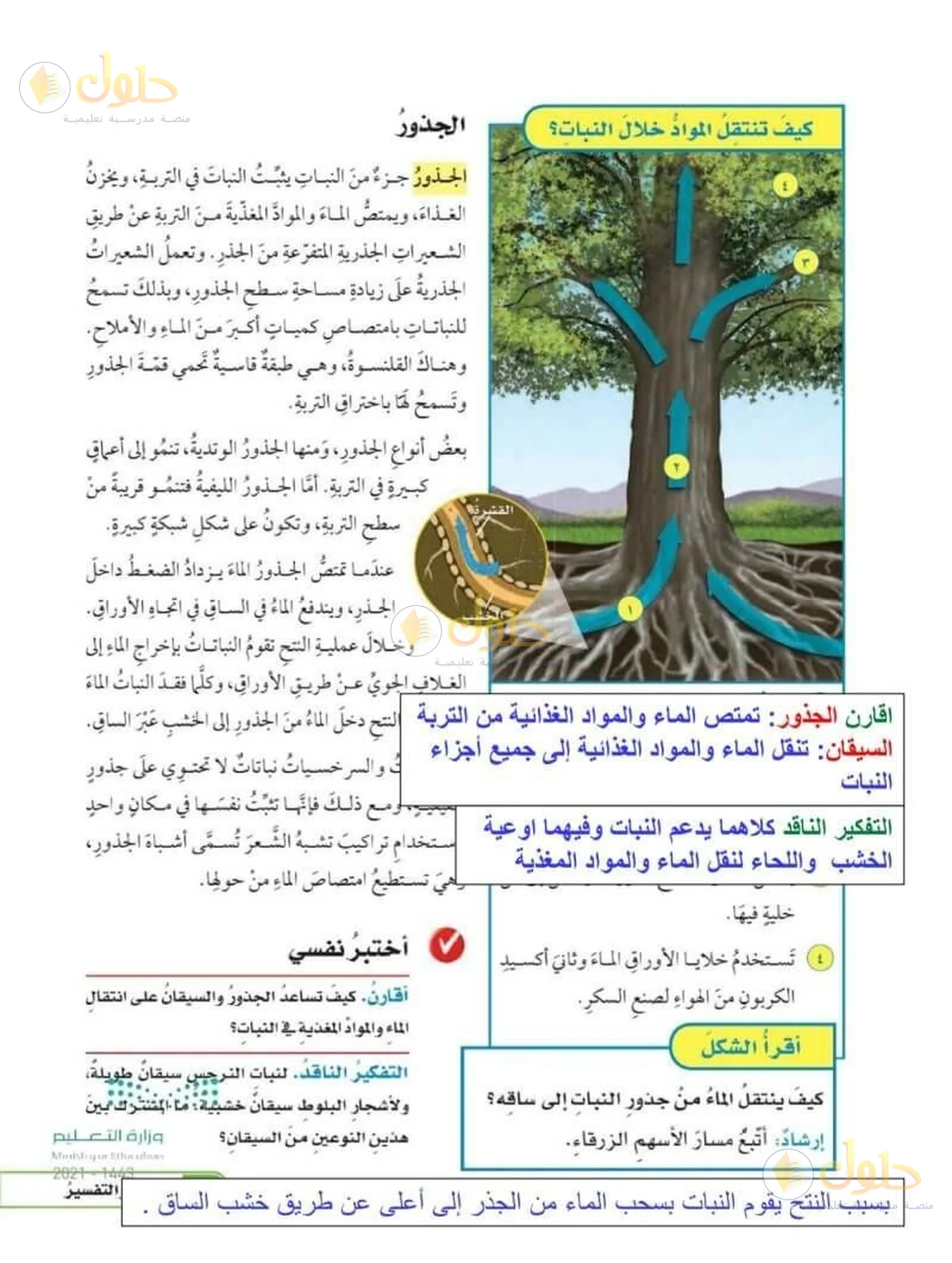 حل العلوم للصف السادس الابتدائي صفحة 81