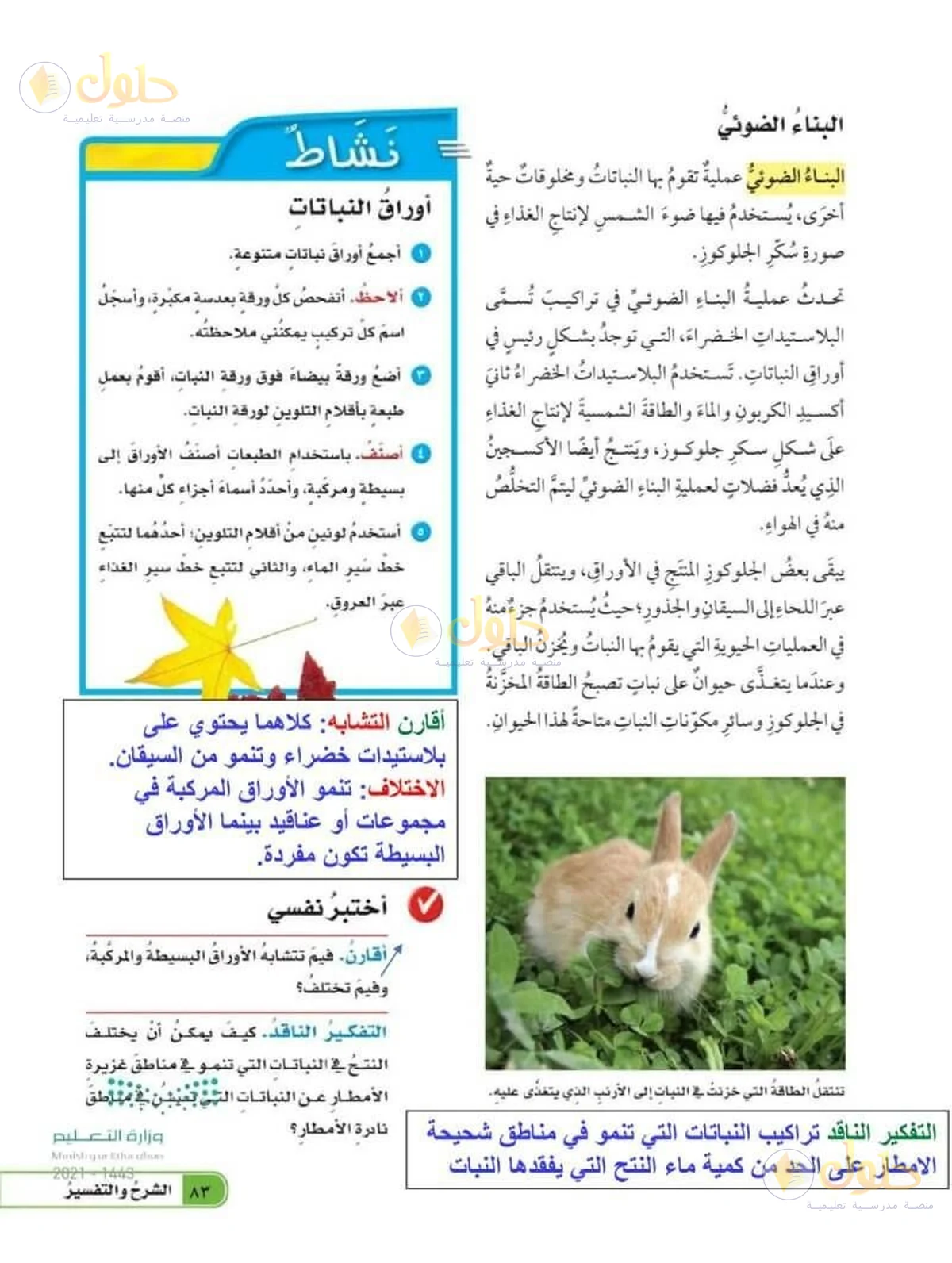 حل العلوم للصف السادس الابتدائي صفحة 83
