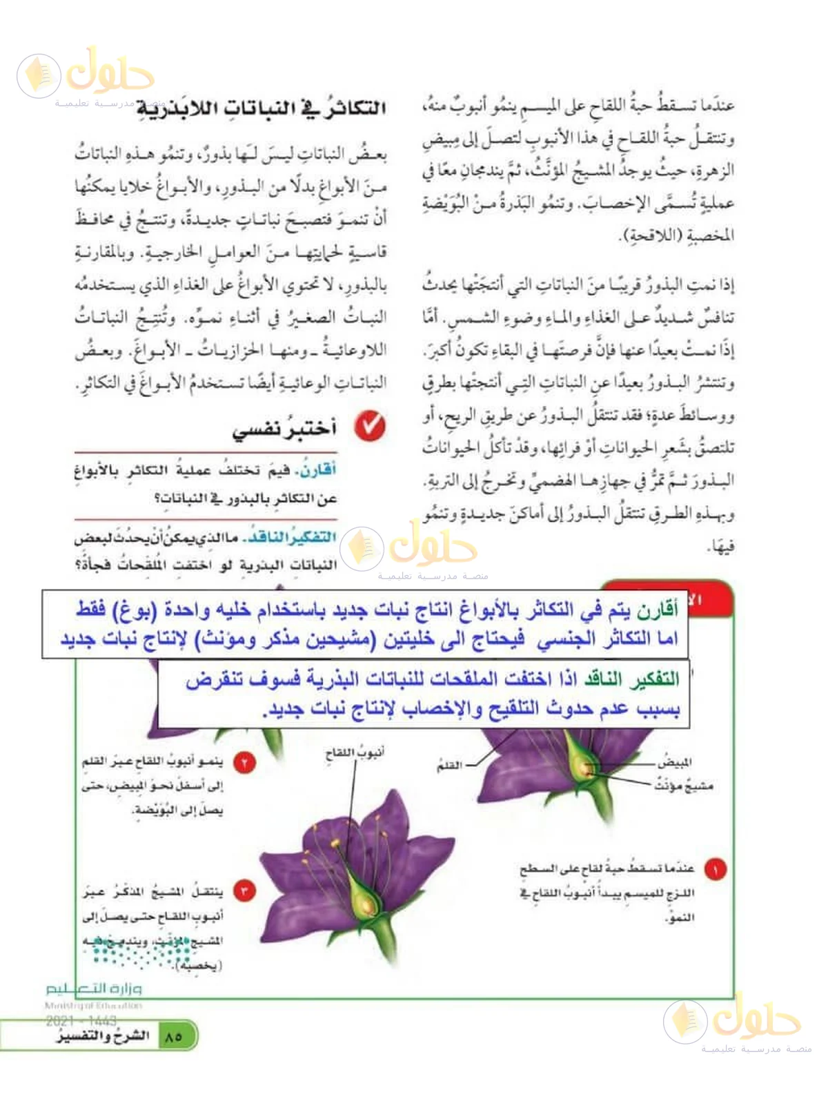 حل العلوم للصف السادس الابتدائي صفحة 85