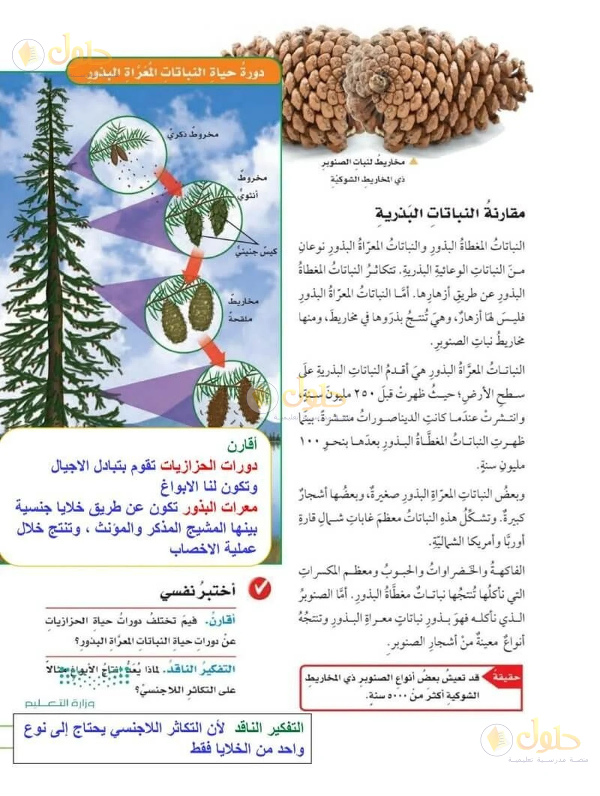 حل العلوم للصف السادس الابتدائي صفحة 87