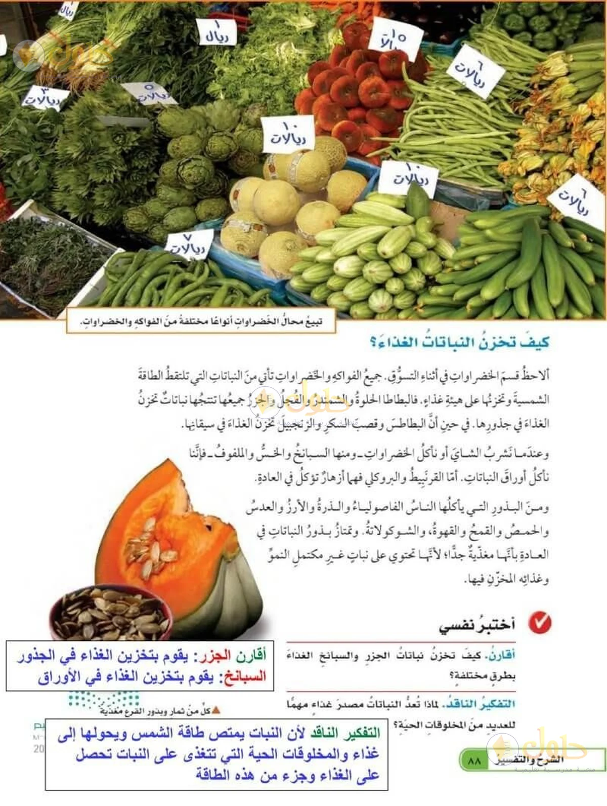 حل العلوم للصف السادس الابتدائي صفحة 88