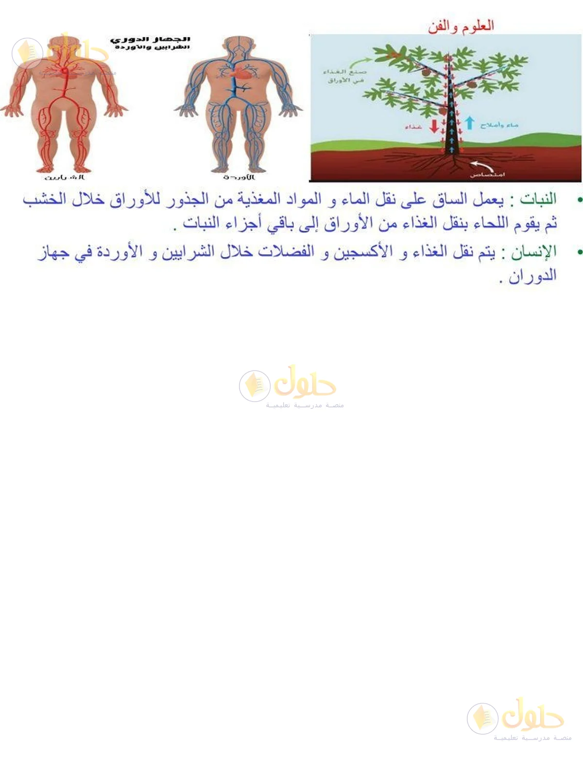 حل العلوم للصف السادس الابتدائي صفحة 89 — الجزء 2