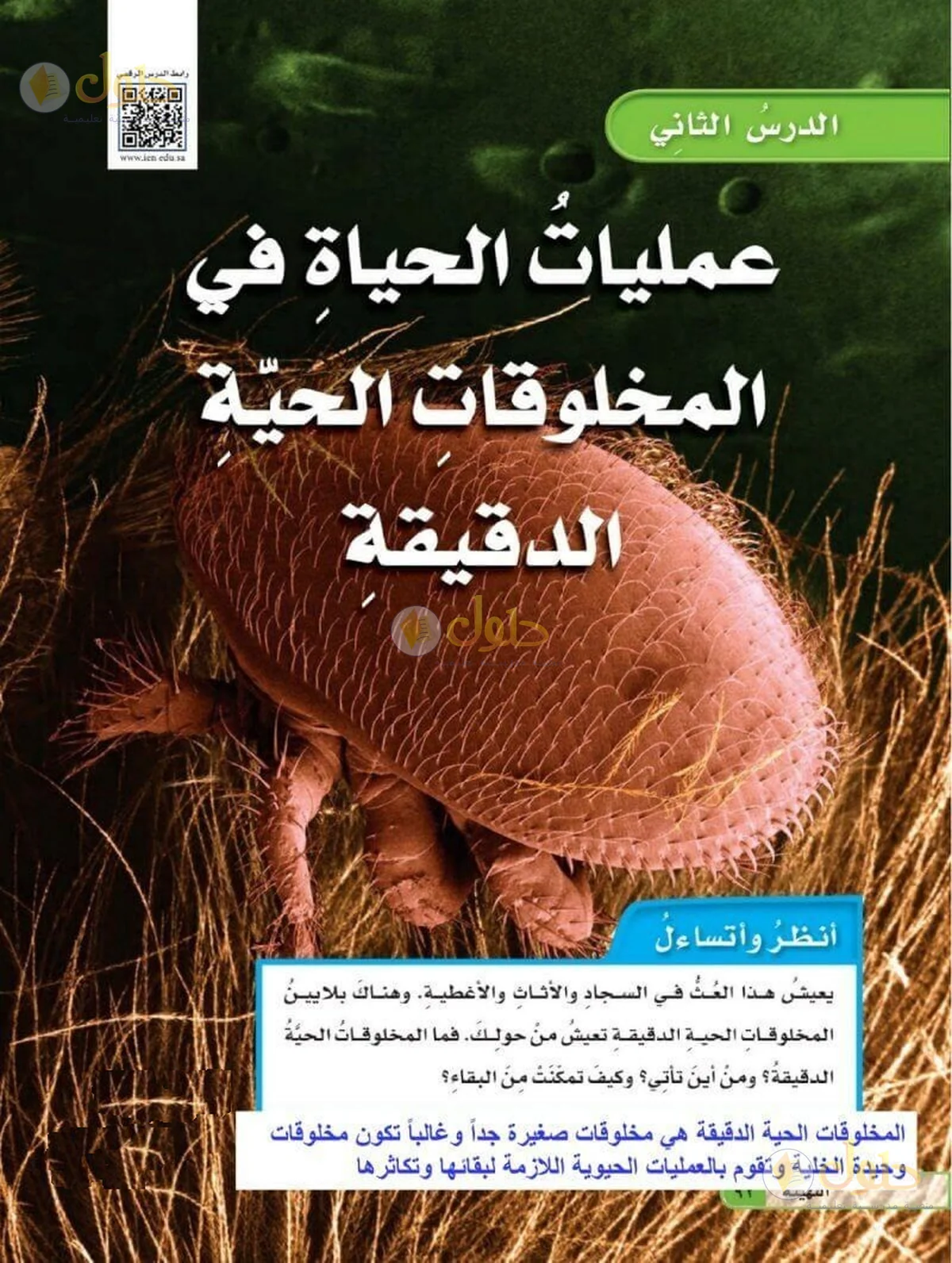 حل العلوم للصف السادس الابتدائي صفحة 92