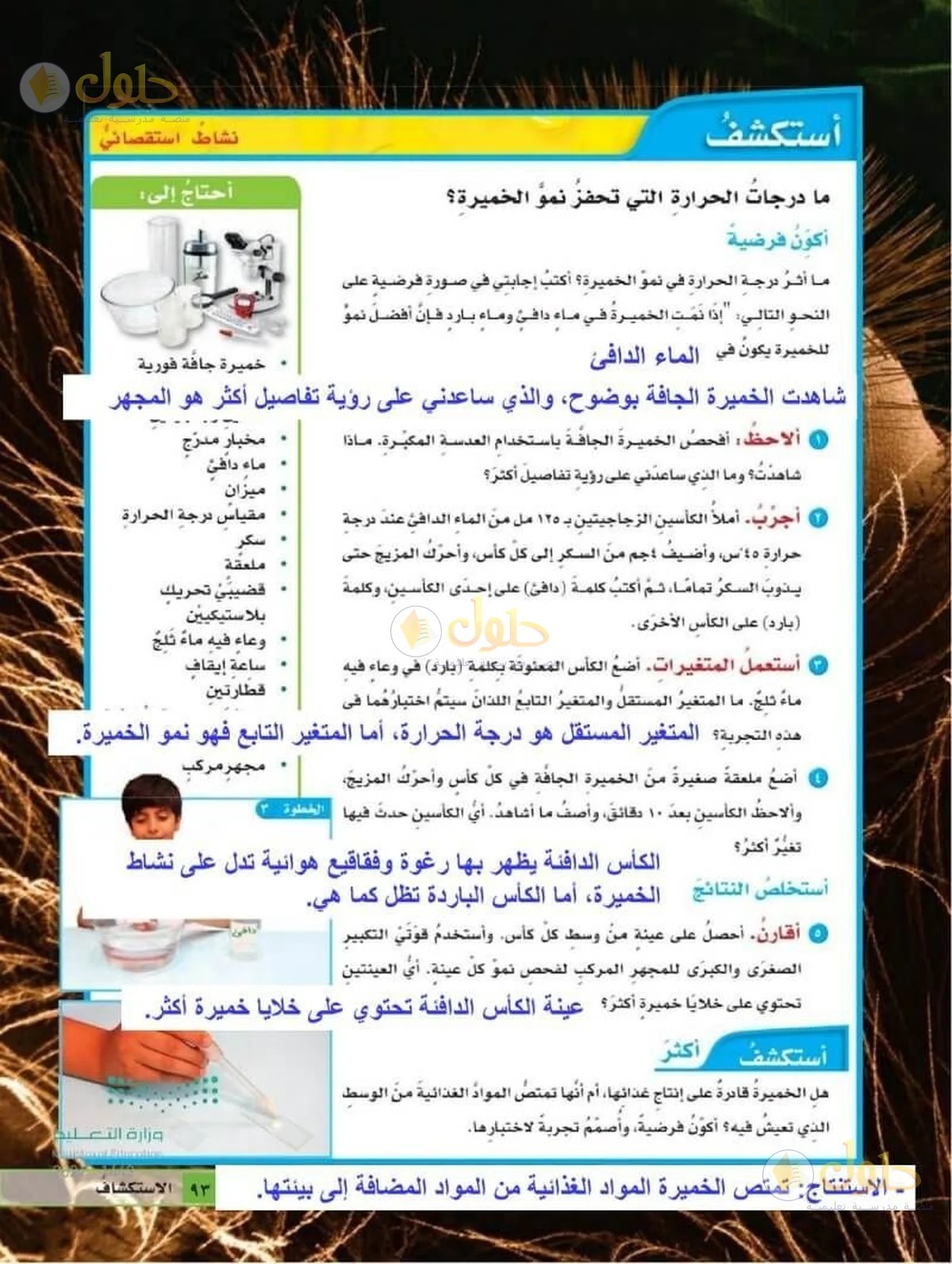 حل العلوم للصف السادس الابتدائي صفحة 93