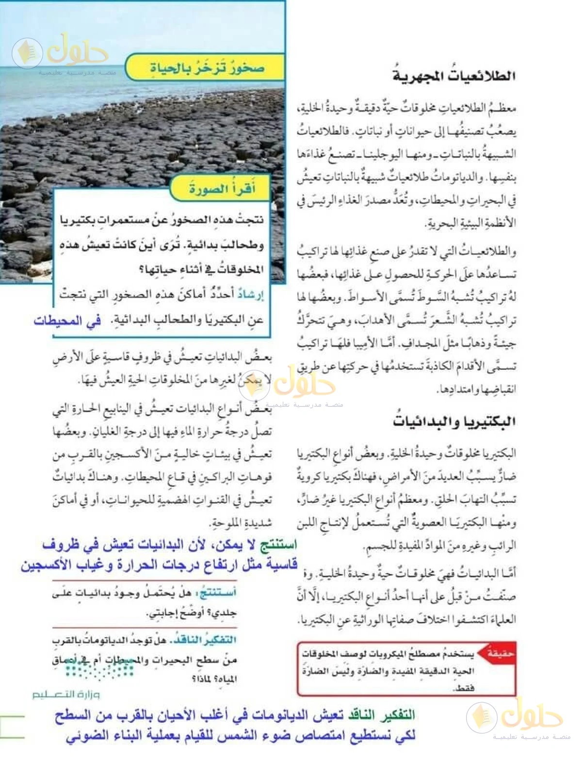 حل العلوم للصف السادس الابتدائي صفحة 95