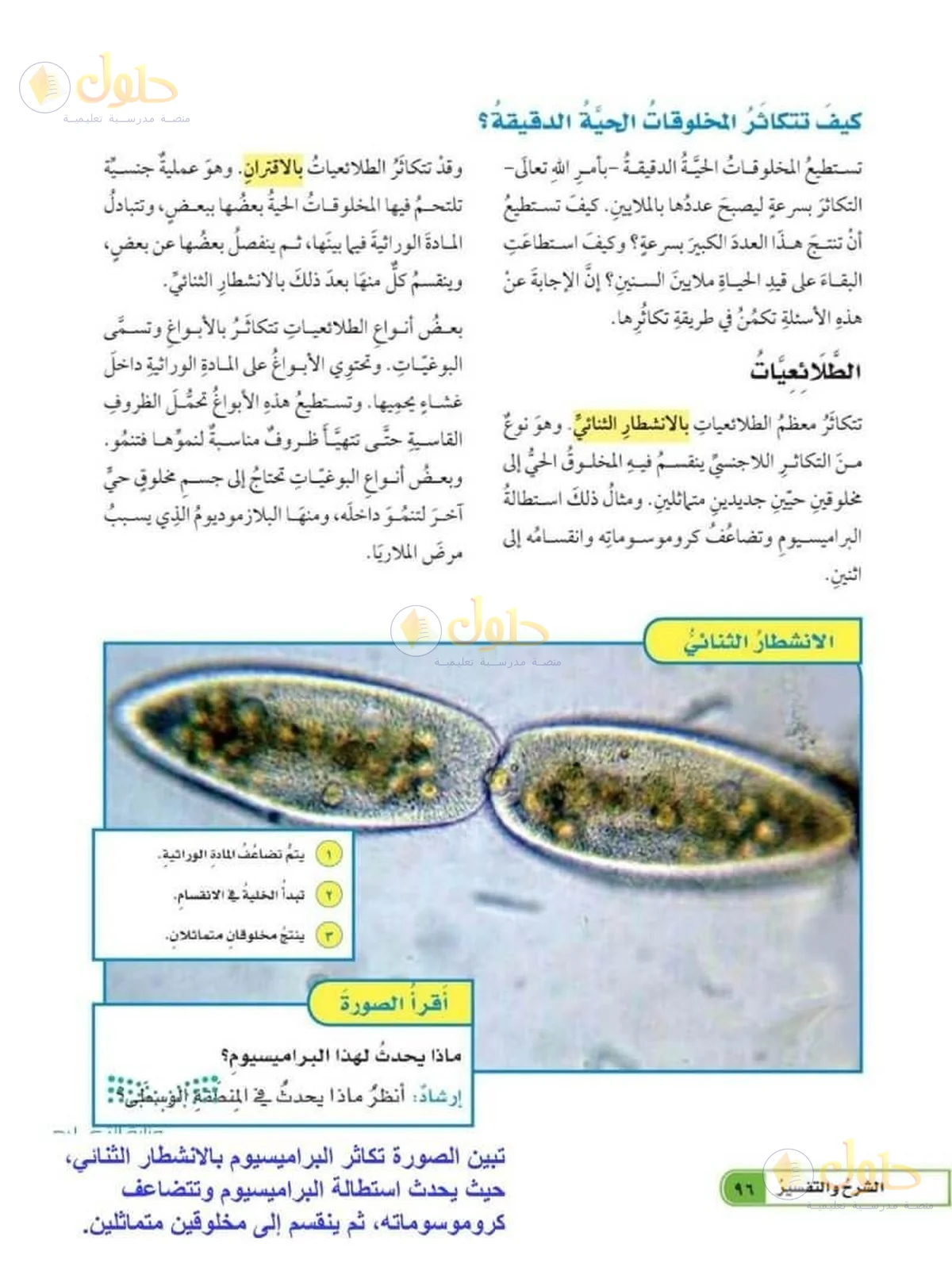 حل العلوم للصف السادس الابتدائي صفحة 96