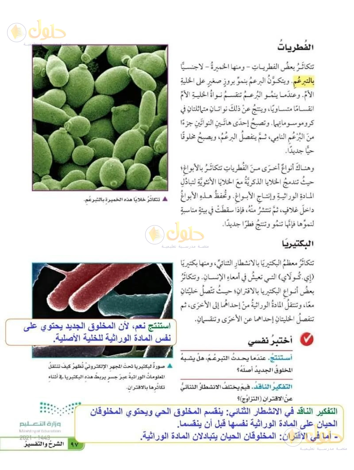 حل العلوم للصف السادس الابتدائي صفحة 97