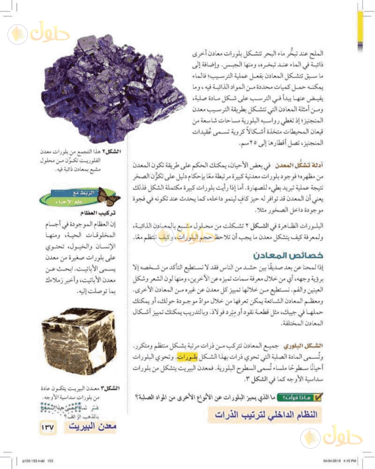 حل علوم الصف الأول المتوسط صفحة 137 الجزء 1
