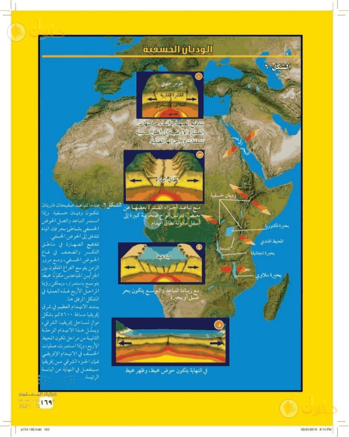 حل علوم الصف الأول المتوسط صفحة 169 الجزء 1