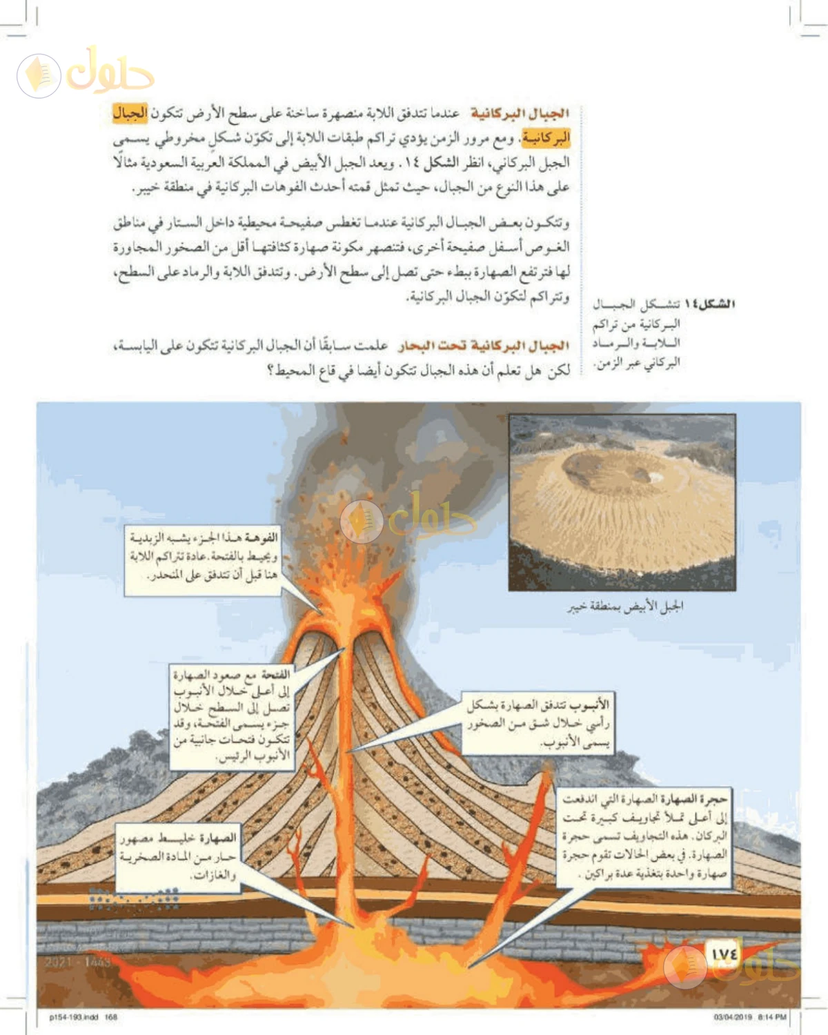 حل علوم الصف الأول المتوسط صفحة 174 الجزء 1