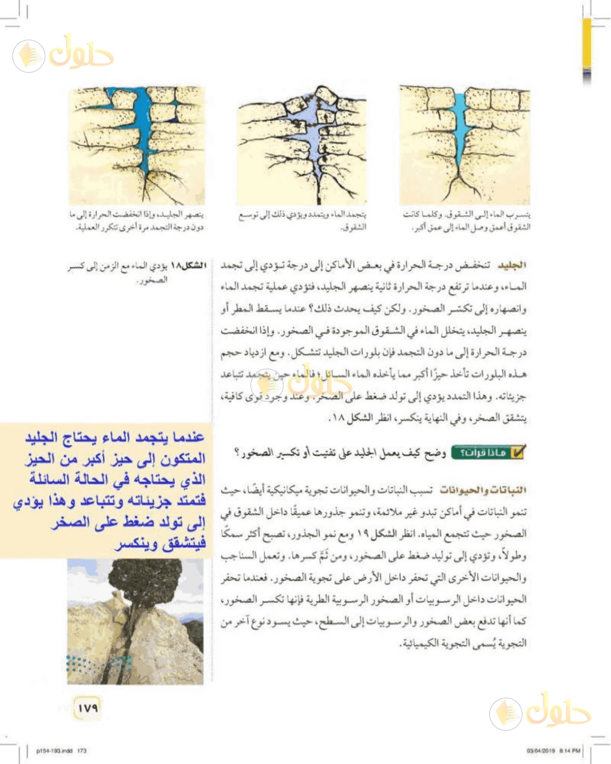 حل علوم الصف الأول المتوسط صفحة 179 الجزء 1