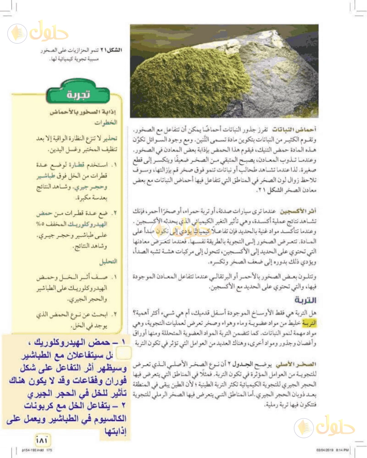 حل علوم الصف الأول المتوسط صفحة 181 الجزء 1