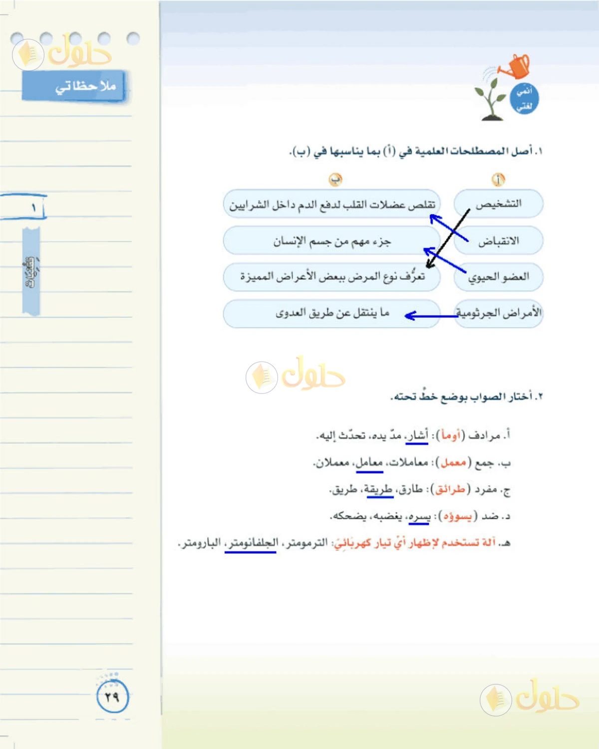 حل لغتي الخالدة للصف الثاني المتوسط صفحة 29