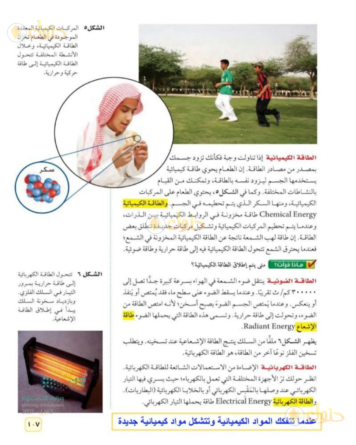 حل علوم الصف الثاني المتوسط صفحة 107 الجزء 1