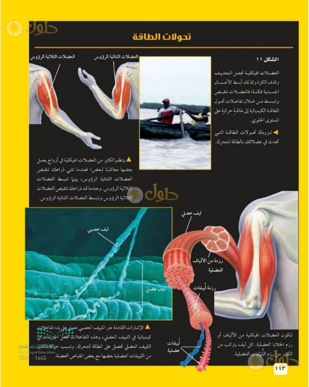 حل علوم الصف الثاني المتوسط صفحة 112 الجزء 1