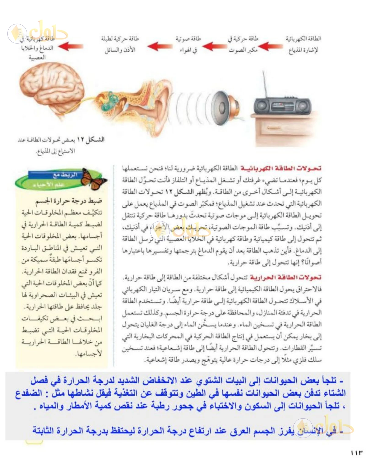 حل علوم الصف الثاني المتوسط صفحة 113 الجزء 1