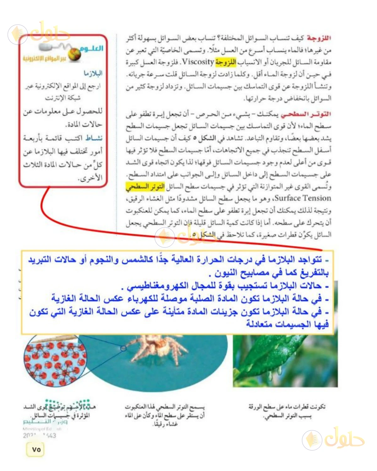 حل علوم الصف الثاني المتوسط صفحة 75 الجزء 1