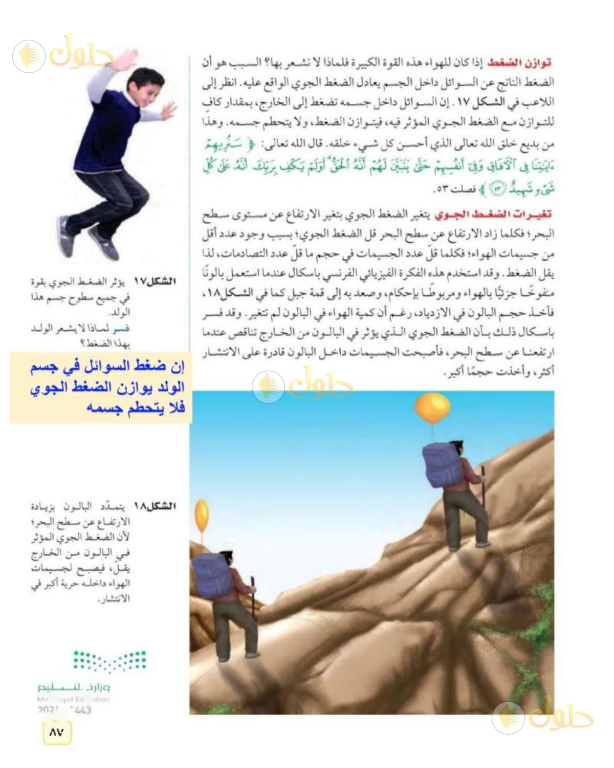 حل علوم الصف الثاني المتوسط صفحة 87 الجزء 1