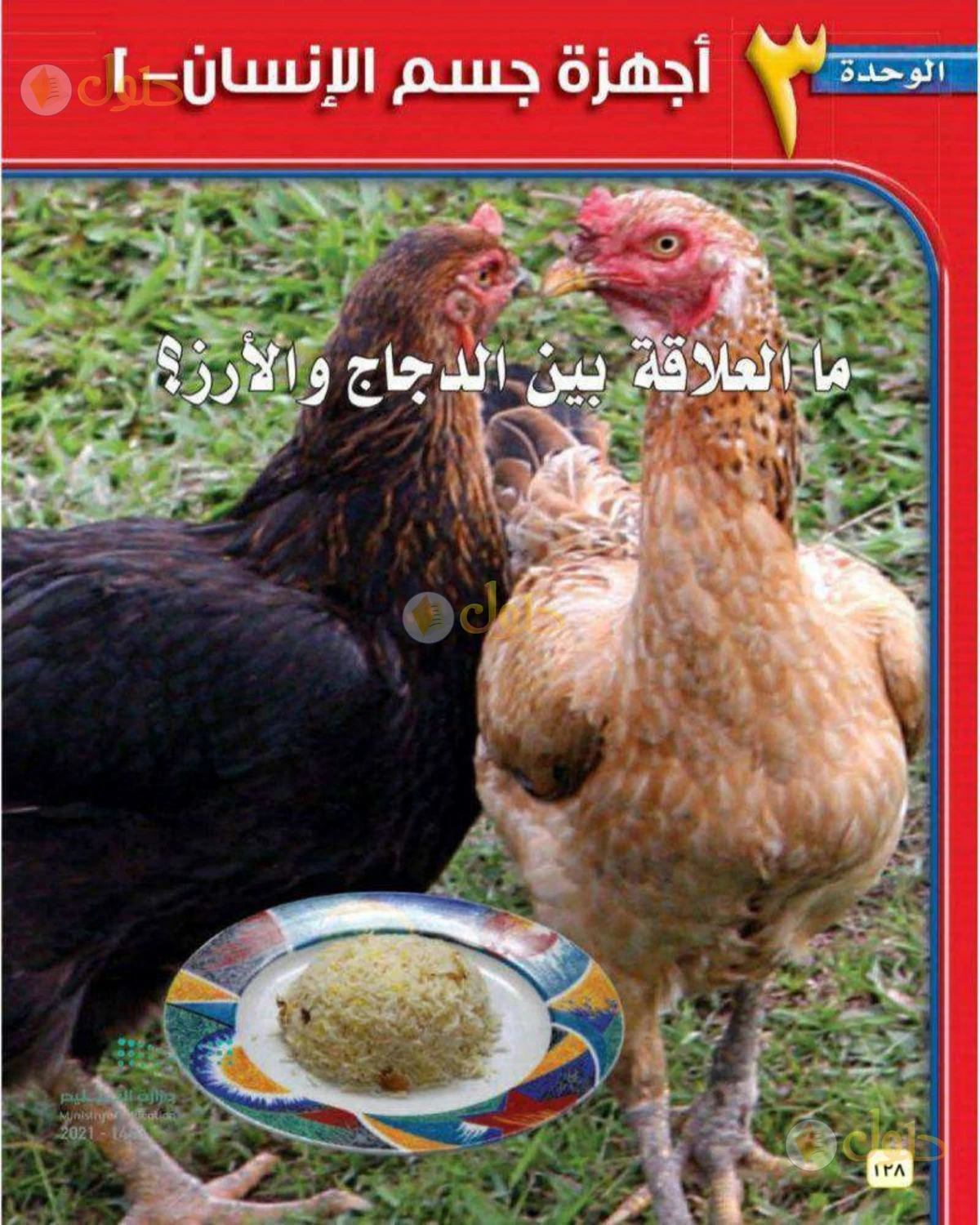 حل علوم الصف الثاني المتوسط صفحة 128 الجزء 1