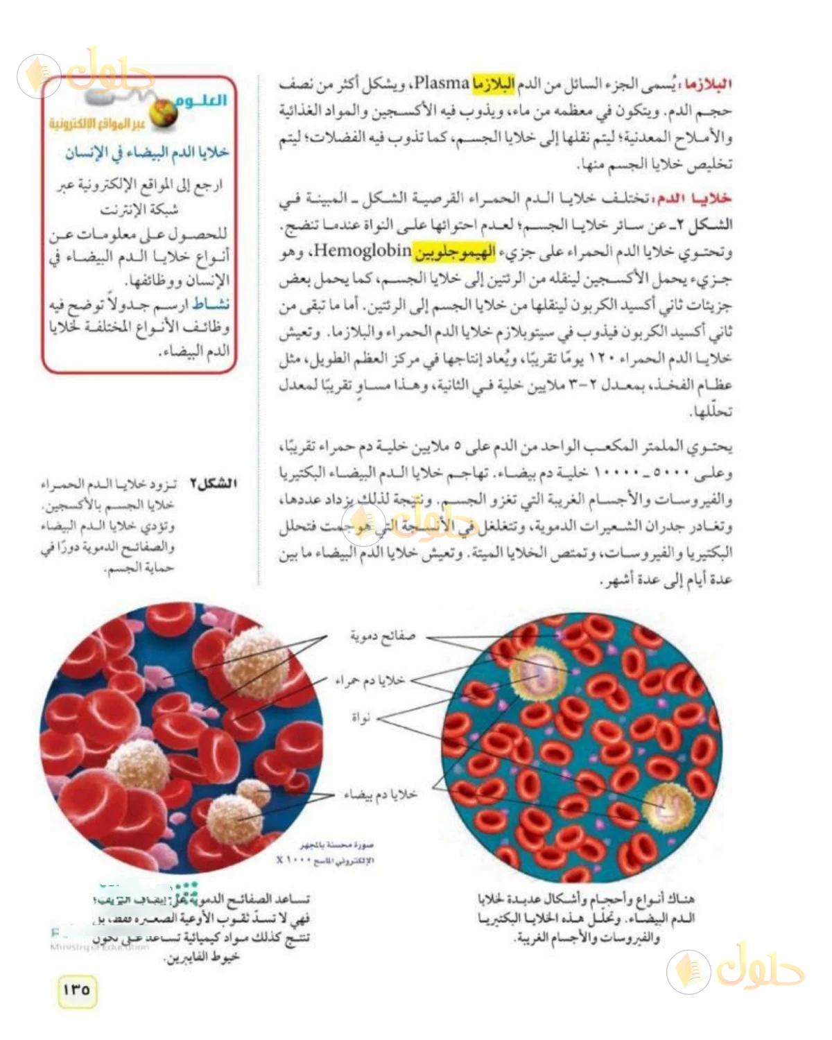 حل علوم الصف الثاني المتوسط صفحة 135 الجزء 1