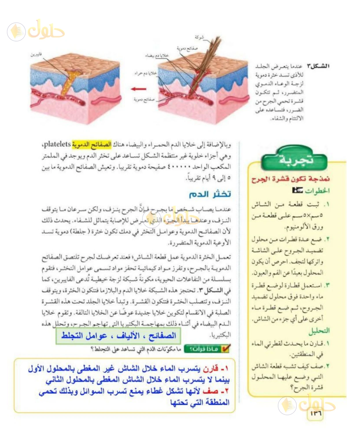 حل علوم الصف الثاني المتوسط صفحة 136 الجزء 1