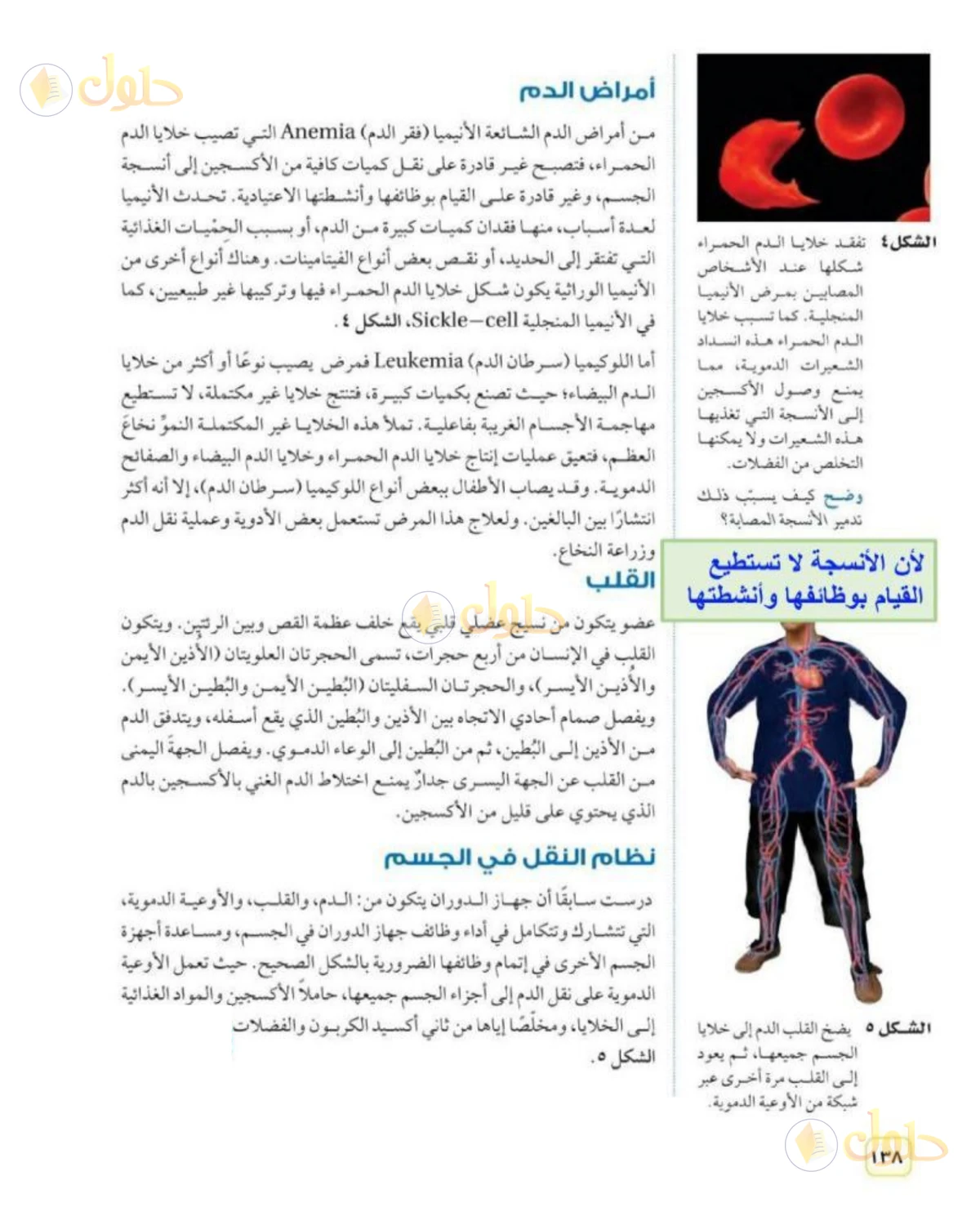 حل علوم الصف الثاني المتوسط صفحة 138 الجزء 1