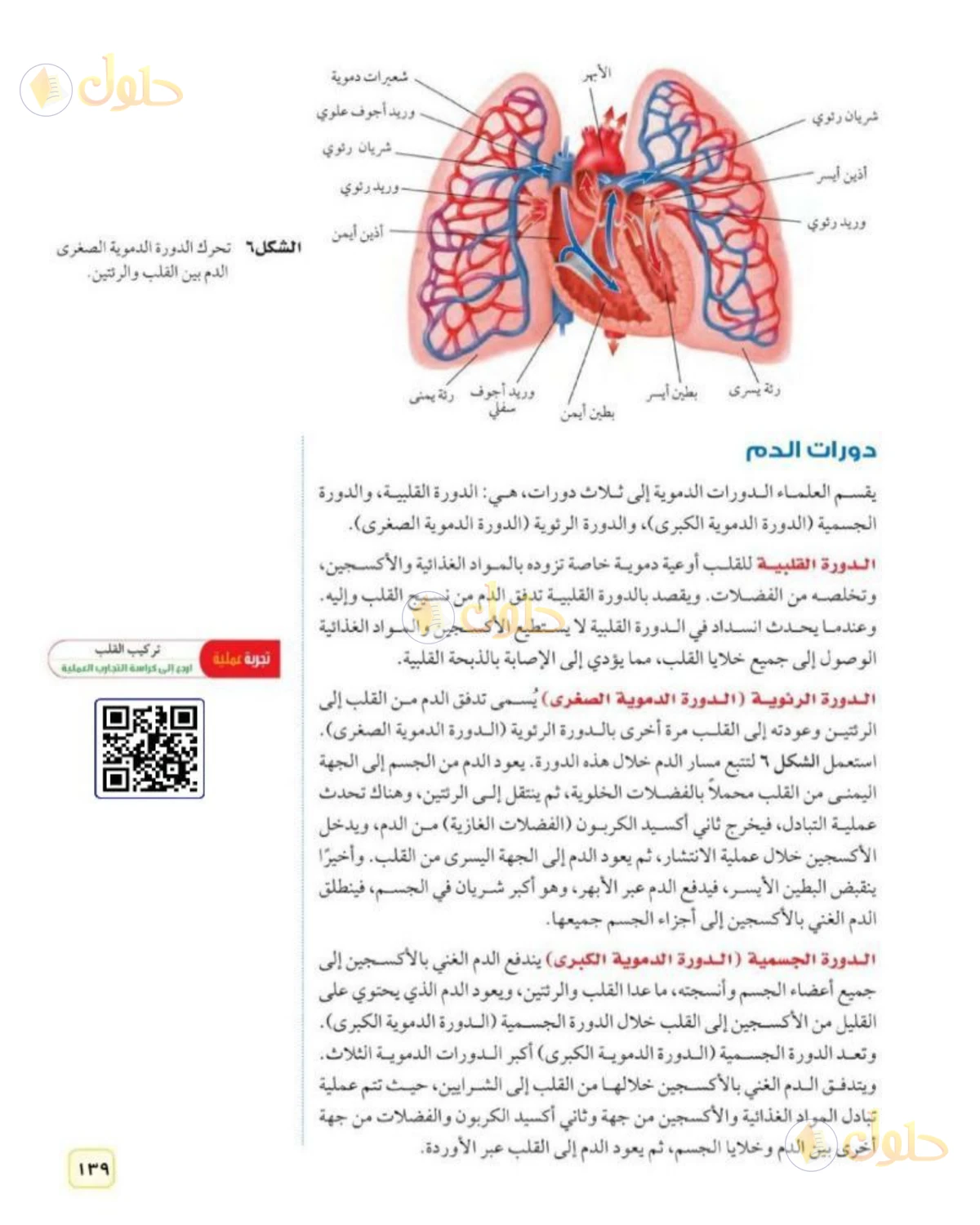 حل علوم الصف الثاني المتوسط صفحة 139 الجزء 1