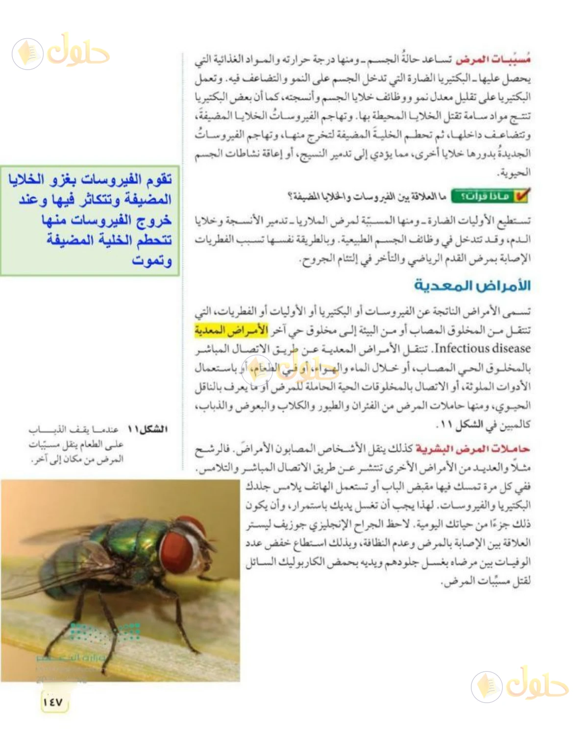حل علوم الصف الثاني المتوسط صفحة 147 الجزء 1