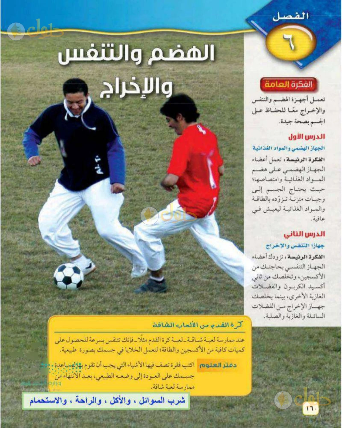 حل علوم الصف الثاني المتوسط صفحة 160 الجزء 1