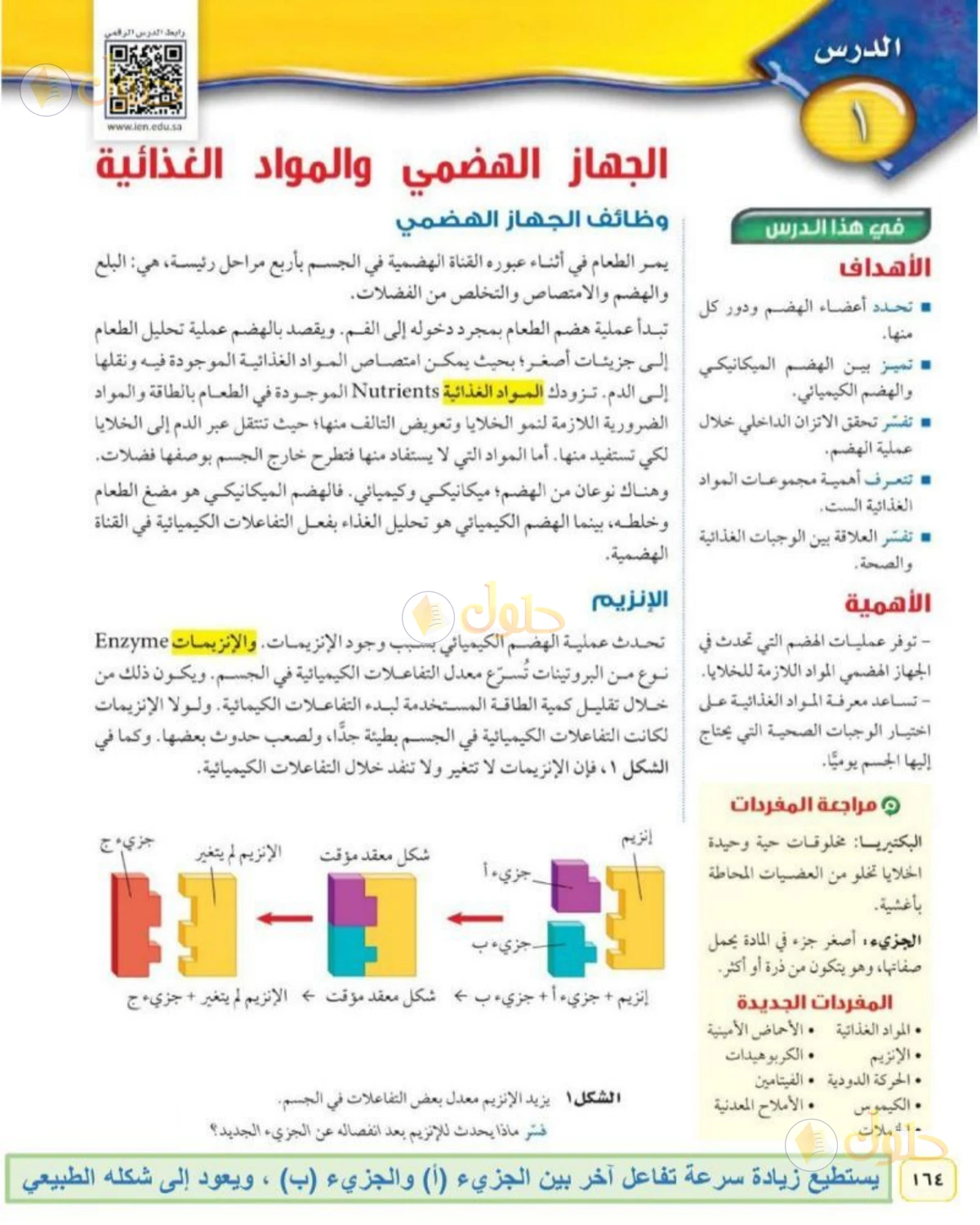 حل علوم الصف الثاني المتوسط صفحة 164 الجزء 1