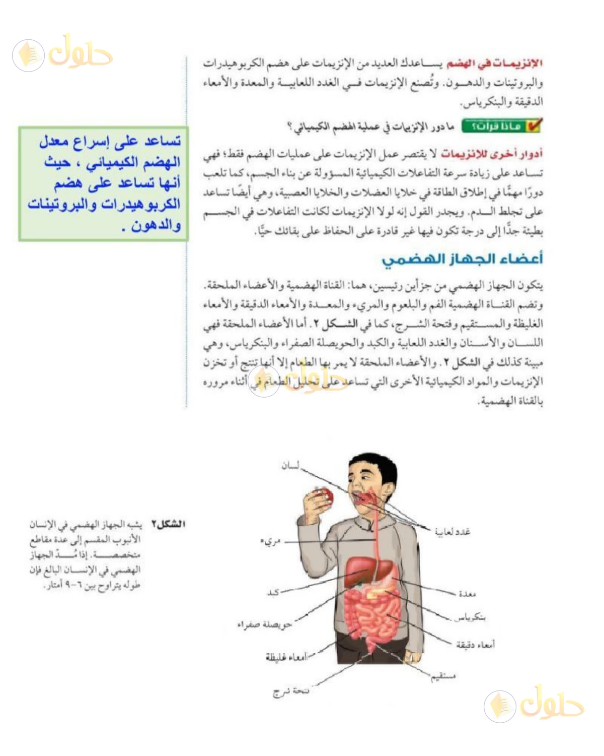 حل علوم الصف الثاني المتوسط صفحة 165 الجزء 1