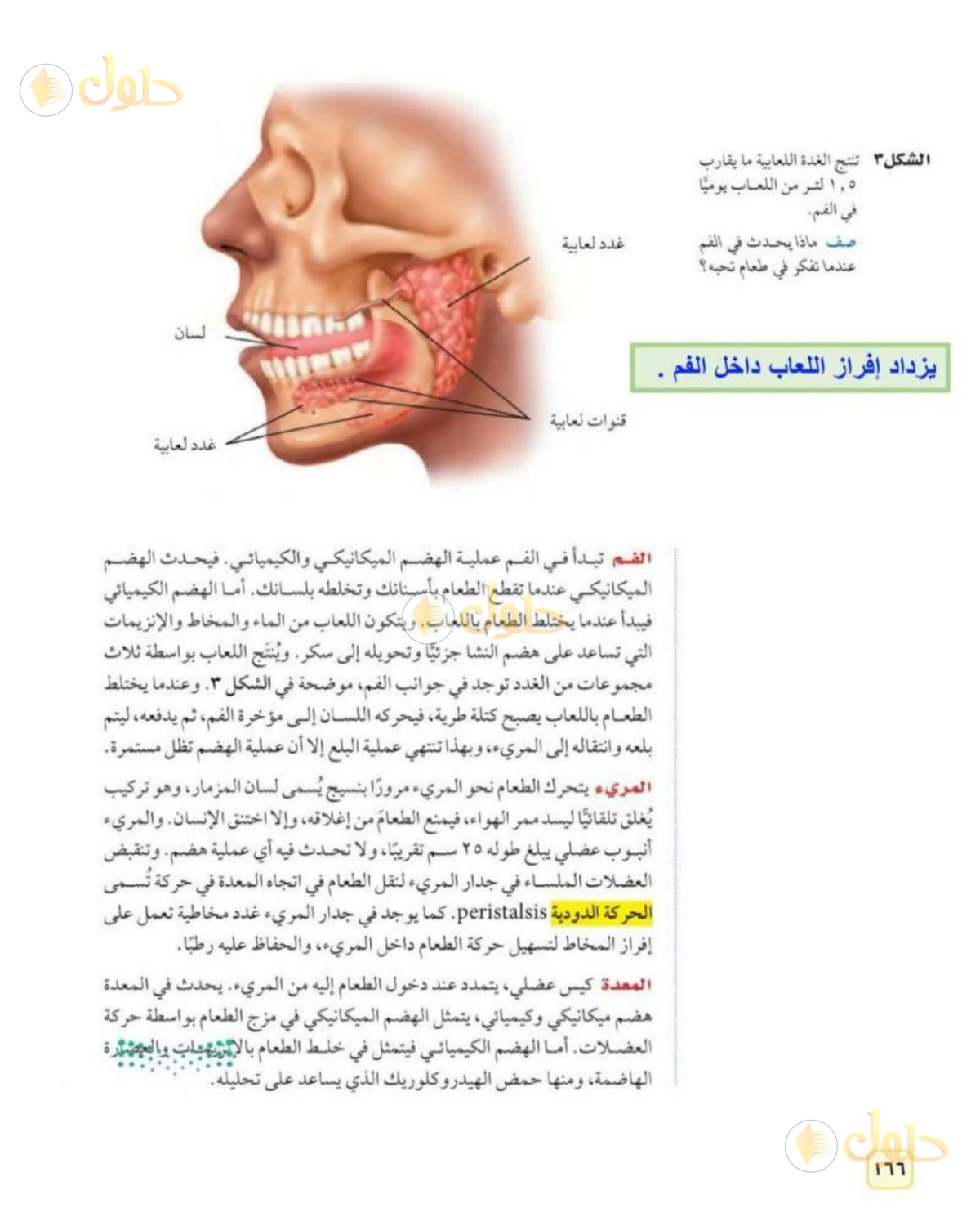 حل علوم الصف الثاني المتوسط صفحة 166 الجزء 1