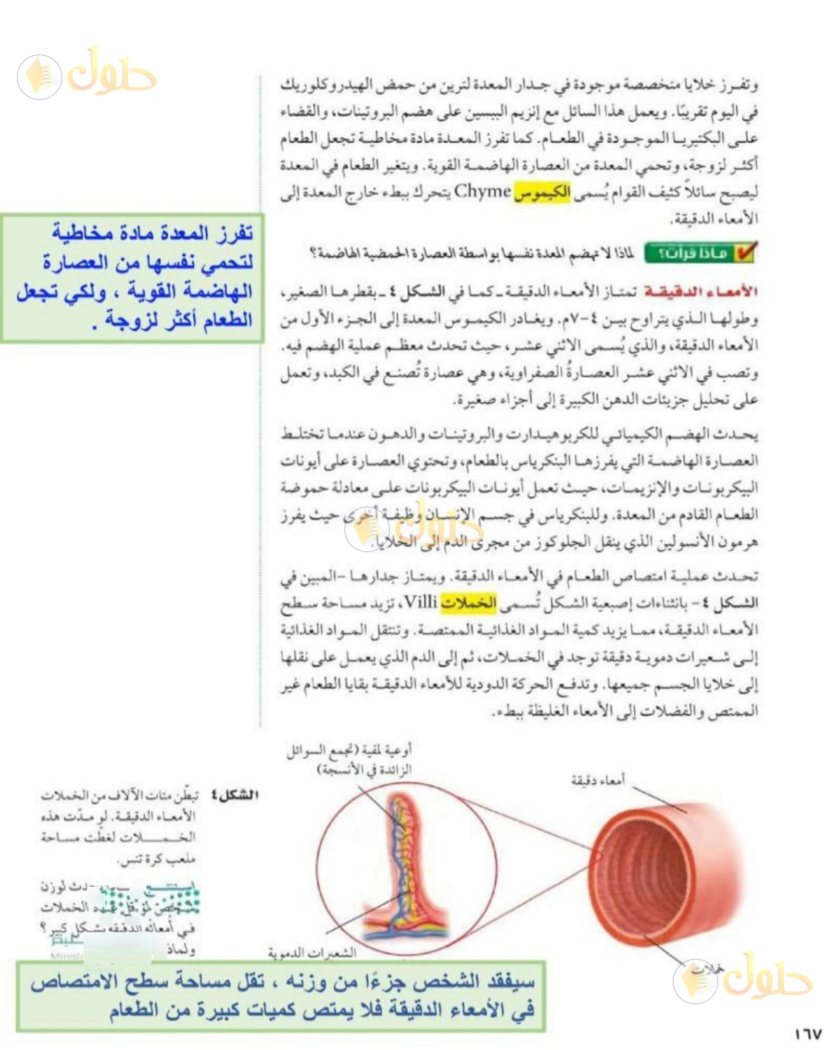 حل علوم الصف الثاني المتوسط صفحة 167 الجزء 1