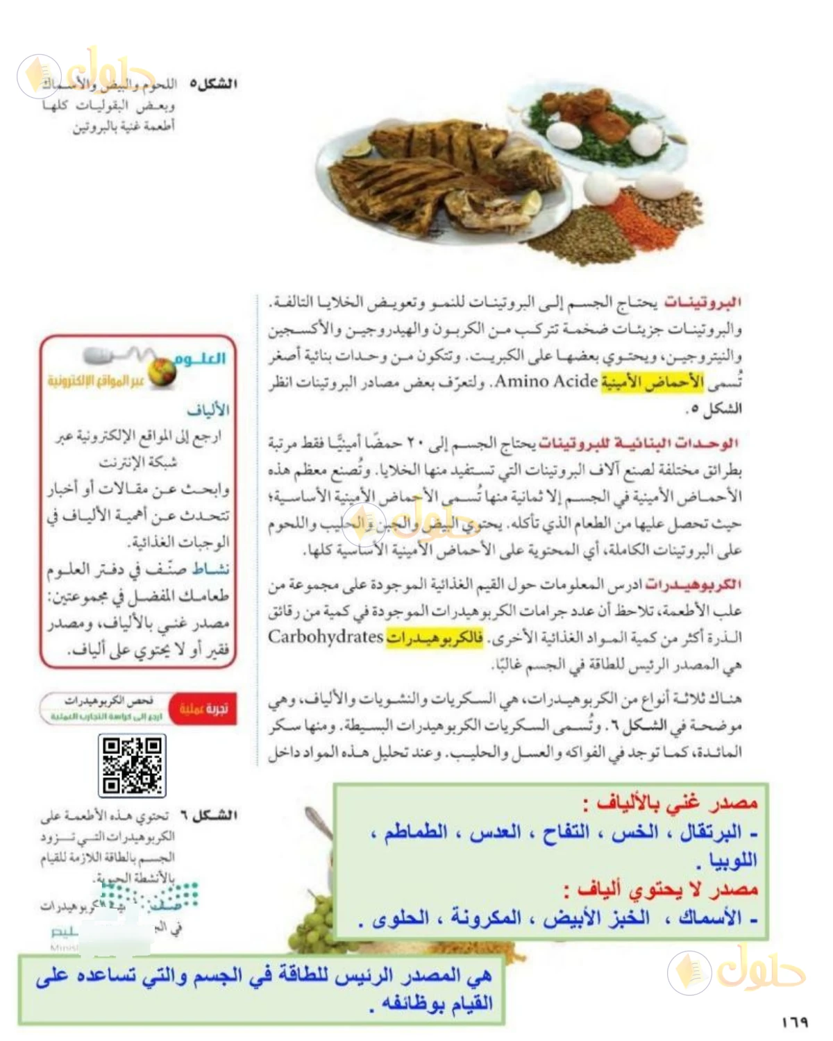 حل علوم الصف الثاني المتوسط صفحة 169 الجزء 1