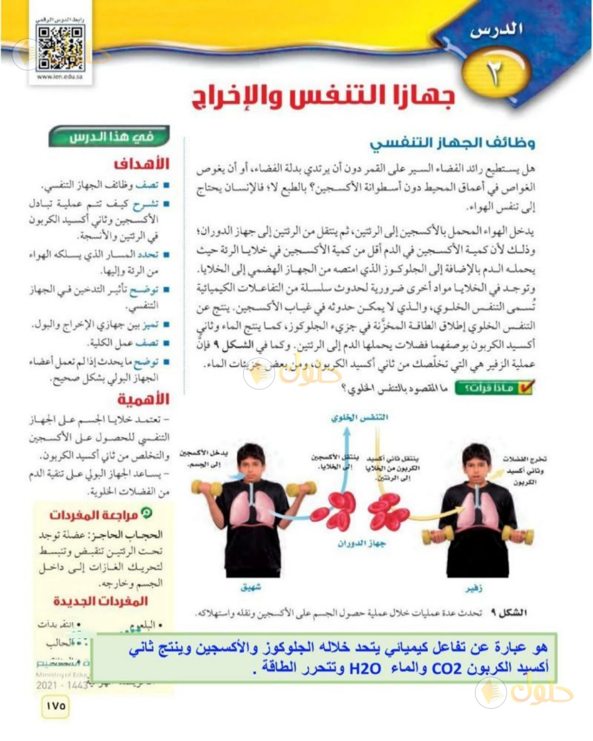 حل علوم الصف الثاني المتوسط صفحة 175 الجزء 1