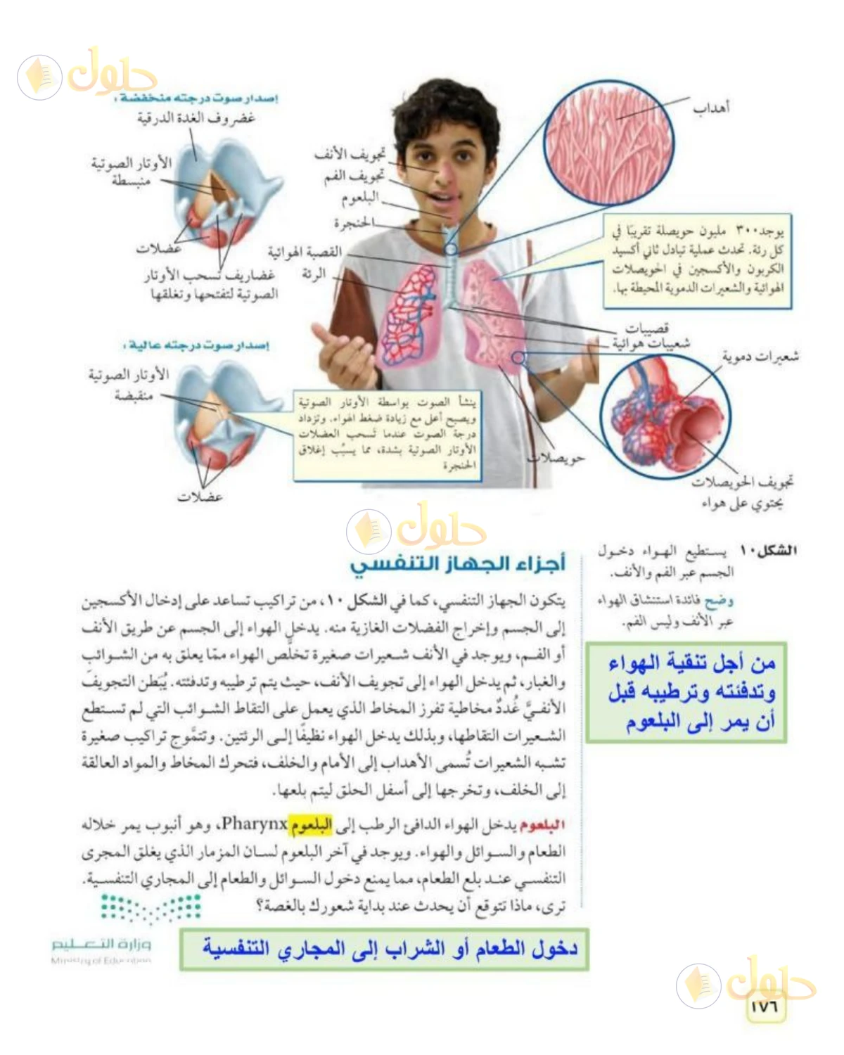 حل علوم الصف الثاني المتوسط صفحة 176 الجزء 1